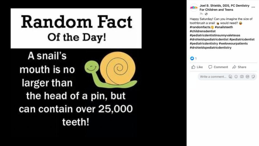 pediatric dentist facebook post ideas_4 Animal Teeth Fact