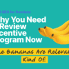review incentive program for dentists
