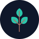 My Social Practice - Helping dental practices find new patients - dso marketing